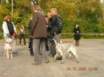 ВЫСТАВКИ - Выставка МГО Динамо 2008